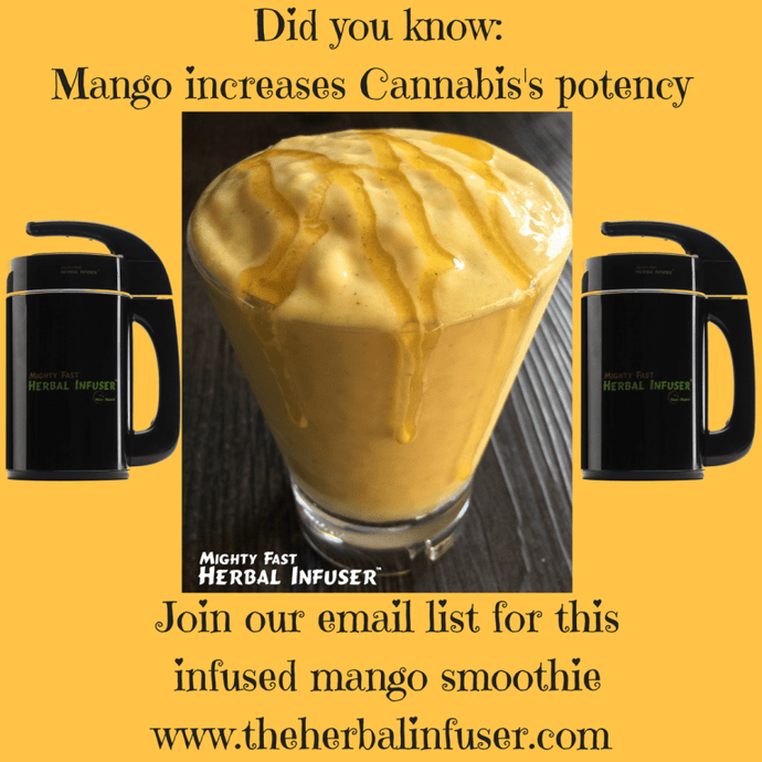 MIGHTY FAST INFUSED MANGO SMOOTHIE