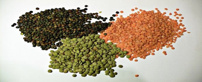 Mighty New Year Lentil Salad