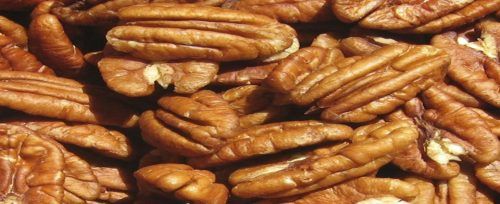 Mighty Cinnamon Sugar Butter'd Pecans